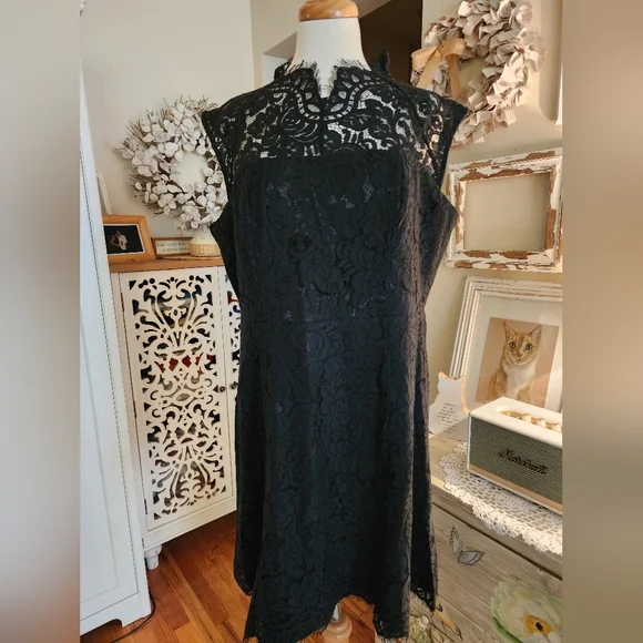 Liza Luxe | Dresses | Liza Luxa Lace Cocktail Dress Size Xl Nwt | Poshmark